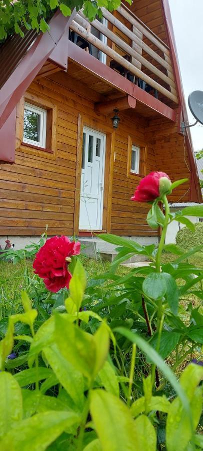 Vila Sarigora Žabljak Eksteriør bilde